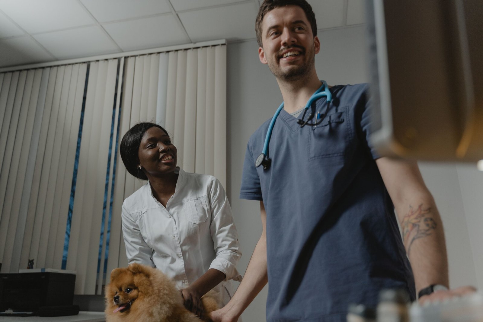 Criação de Site para Veterinário em Recife 1 Criação de site para veterinário em Recife